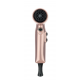 Gamma Piu Hybrid Dryer Rose Gold